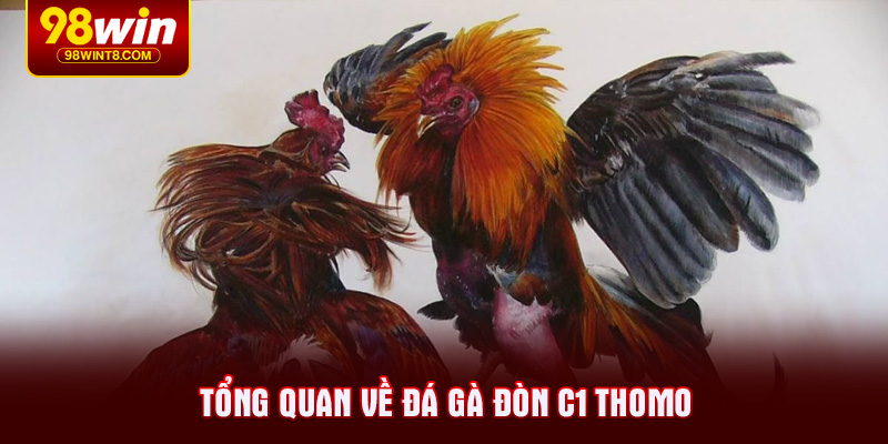 Tổng quan về đá gà đòn C1 thomo